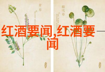 玉米丰收季节来临了解不同地区的主要玉米品种