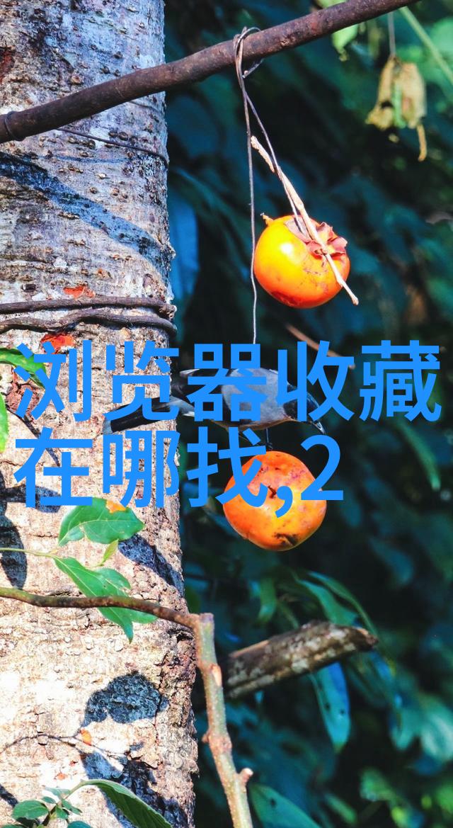 边城风情周边旅行社推荐的特色跟团行程