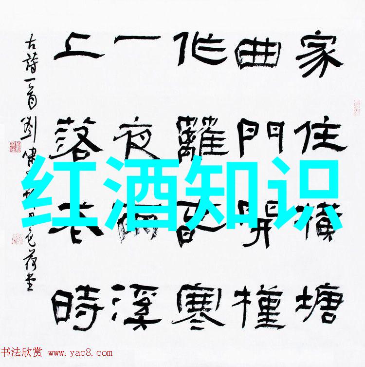 ETF投资指南如何从代码大全中选出最佳组合