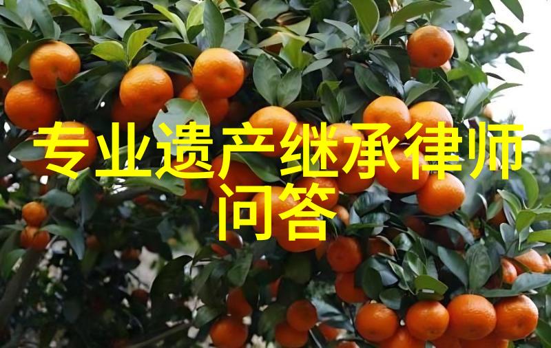 历史教学园地引领青春回望的知识殿堂
