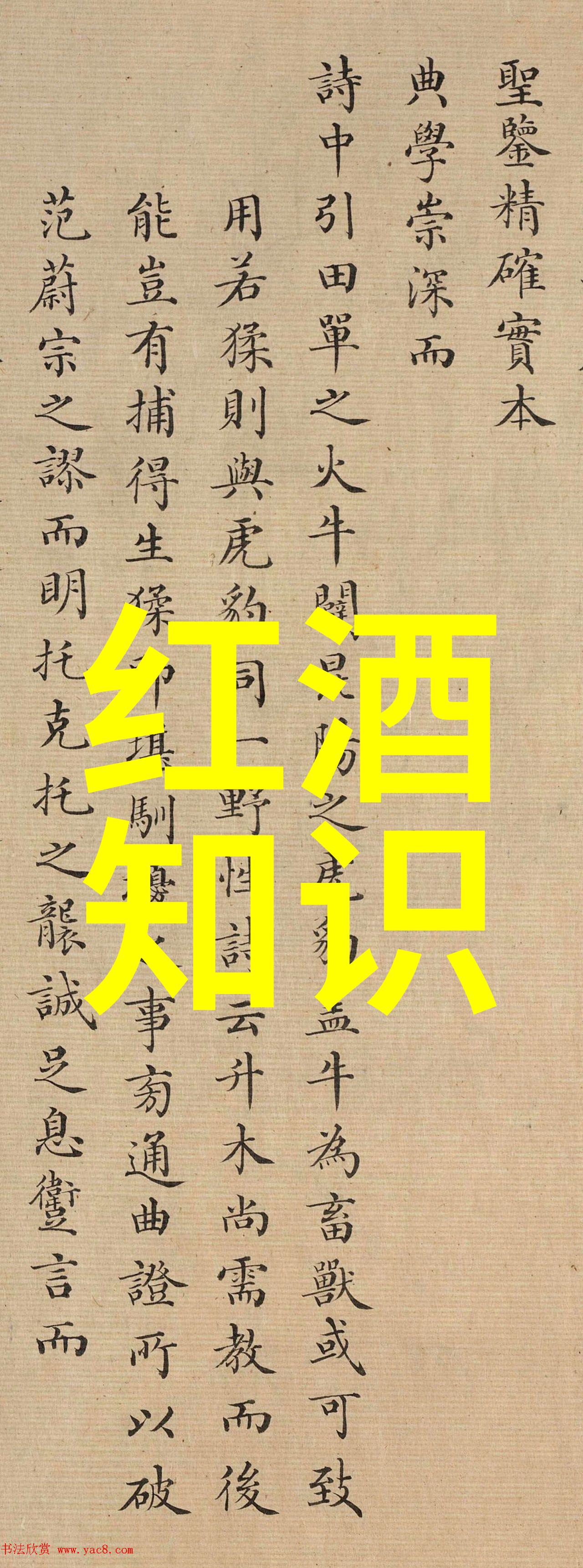 红船上的少年将军张世傑传奇生平简介