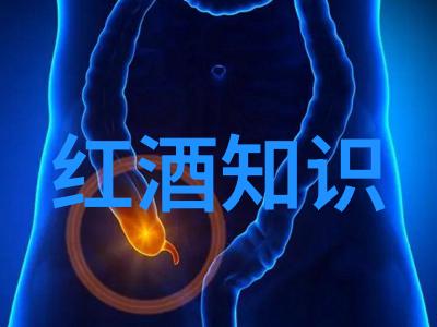 非洲葡萄酒产区探索撒哈拉之南的葡萄酒传奇非洲新兴酿酒地的奇迹与挑战
