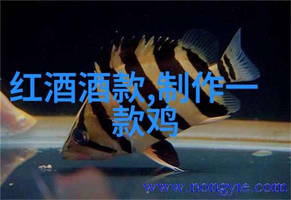 探索孪生兄弟3ph尴尬身份混淆与亲情考验