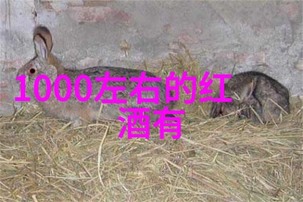 四房播播播探索家庭共享经济的新模式