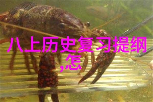 在金融市场上是否存在一个最佳购买时机基于历史价格如果是那是什么时候呢
