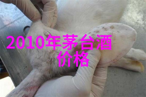 百度知道首页之谜隐藏在搜索框背后的秘密