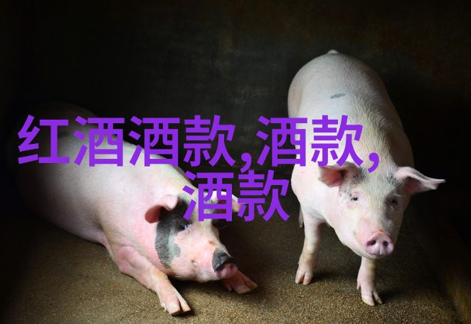 法国葡萄酒五大产区的秘密何在