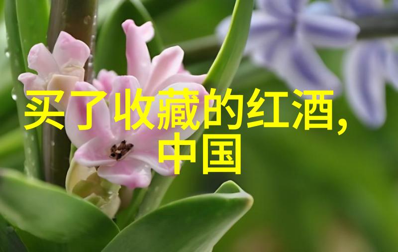 春意盎然的秘境探寻五一假期冷门旅游城市的魅力