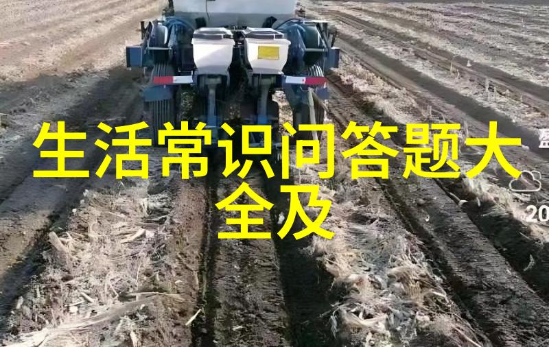 赌博的双重打击夫妻相互沉迷导致家庭破裂