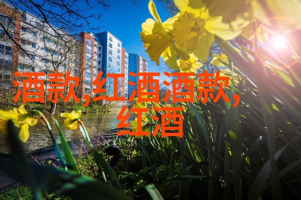 三天两夜探秘中国古镇体验时光倒流的魅力