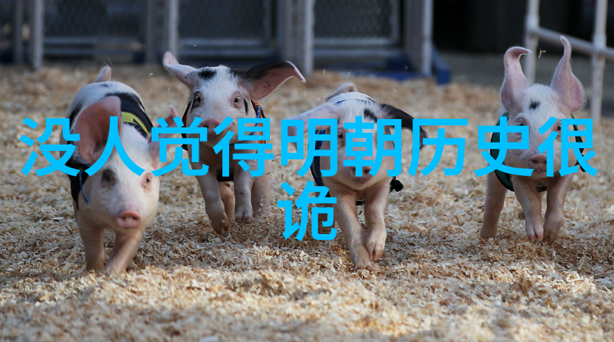 尹卓莉亚猫咪选择指南揭秘各品种的魅力