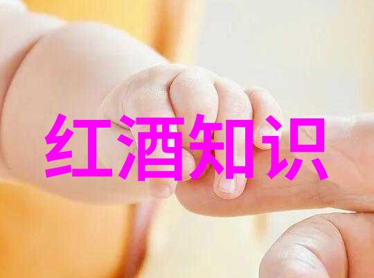 世界葡萄产区主要分布在欧洲的葡萄酒之都南非的温暖阳光下成熟的佳酿美国加州丰富多样的种植地