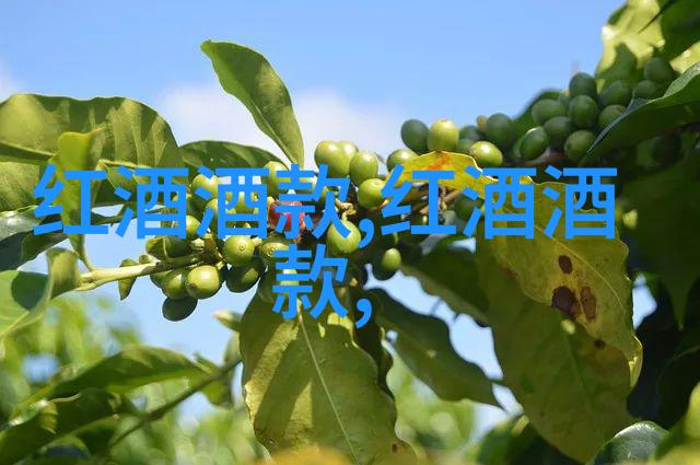 人民币纸币收藏网人物Villa Maria宣布赞助纽约市十亿牡蛎项目
