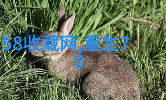 好久不见的触碰迈出第一步追逐视频屏幕上的情感共鸣
