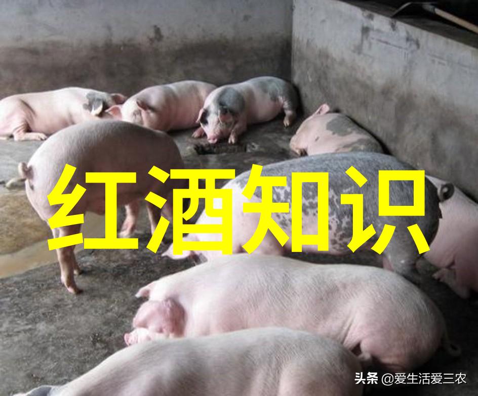 葡萄酒搜查网我是如何在葡萄酒搜查网上找到了那瓶梦回童年的红酒的