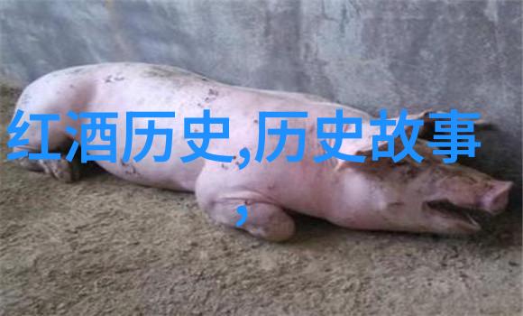 了解原创与改编讨论中国版和日版同名作品的区别