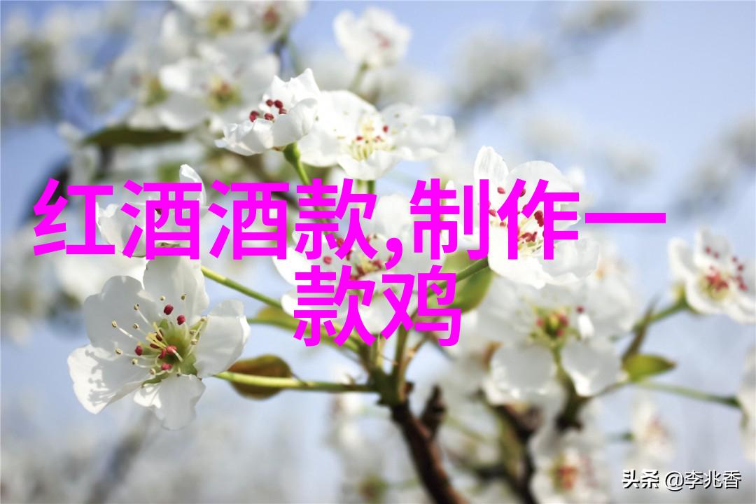 暑假带娃游荔枝8种网红吃法解锁荔枝炼奶冻绝对惊喜