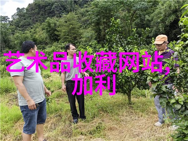自动问答机器人的未来智能解答的新纪元