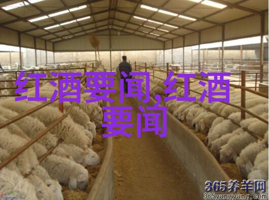 男人插曲女人情感纠葛与爱恨交织的故事总结