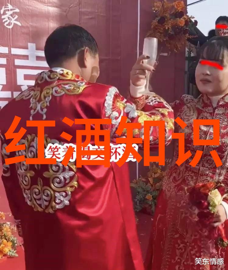 在红酒文化的怀抱里你是否曾被优美句子中的韵律和情感深深打动