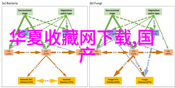 猫的秘密品种揭开影踪中的古老血脉
