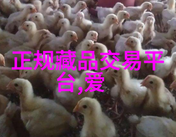 葡萄酒老产区-醉心于历史的葡萄园与酿造艺术