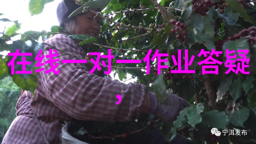 人物简笔画入门掌握基本步骤绘制生动肖像