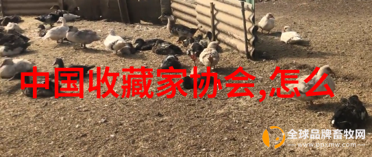 页边风景记忆里的杂志收藏
