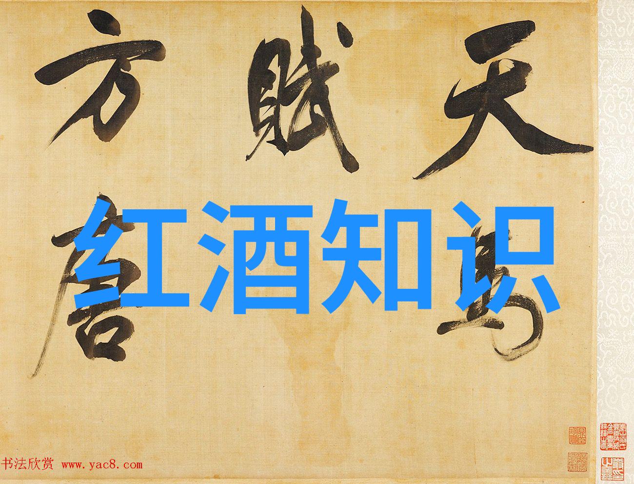 猫-2023年全品种猫咪价格一览表揭秘宠物爱好者最关注的市场动态