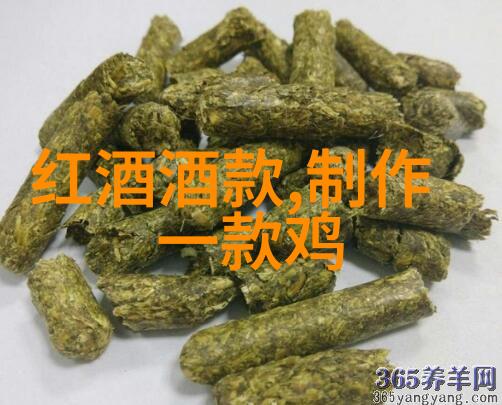 美短猫品种的神秘魅力何在
