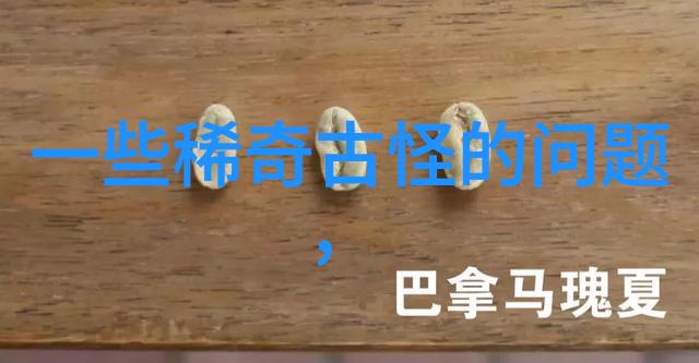 知识分享社区专业问答平台