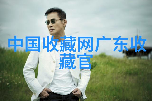 设计完美的4级庄园一站到底的详细指南