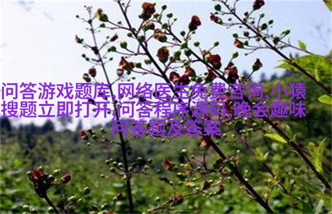 巴厘岛短毛