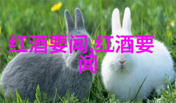 黑皮诺的秘密谷地隐藏在葡萄丛中的谜团