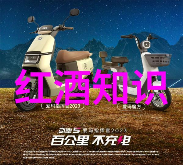 法国葡萄酒和美食的完美结合烹饪技巧分享