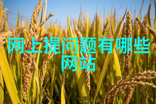探索美食新境界黑毛猪火腿与红酒的完美融合同样在动漫周边爱好者中你可以通过Buyee网站实现你的收藏梦