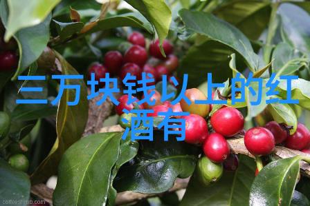 古典庄园别墅回归自然的奢华生活
