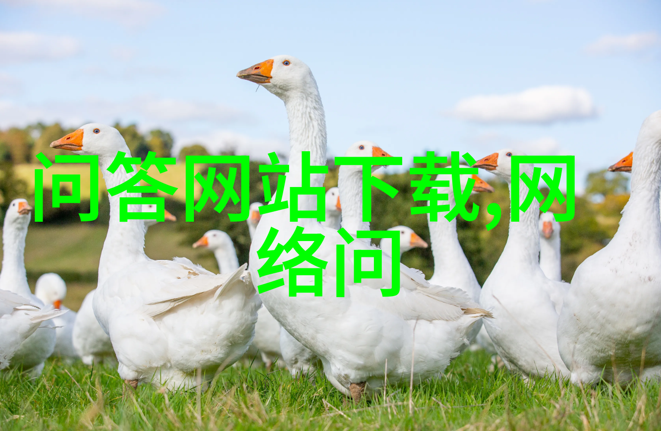 人物简笔画步骤掌握基本技巧绘制出生动人物