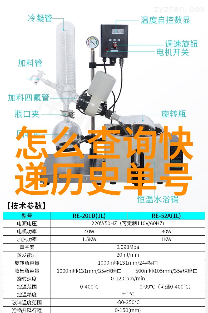 猫咪品种识别指南揭秘各种宠物猫的特征与差异
