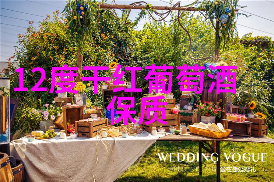 九游心动庄园2最新版本我的冒险再启程