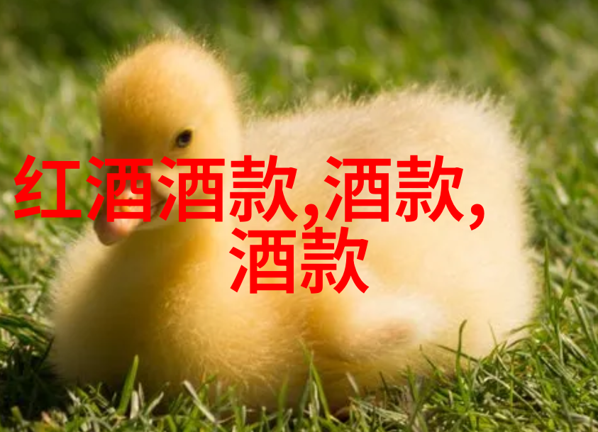 电视剧中的反派角色是否也可以被称为人物