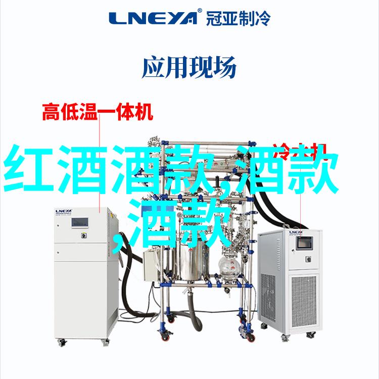 巴斯克酒庄中世纪骑士的葡萄园堡垒