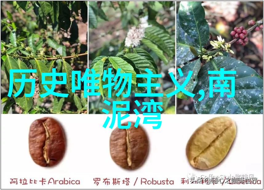 农村烧柴火酿酒设备传统酿造技术的现代革新