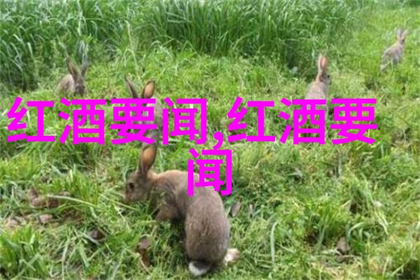 可以触碰你的深处吗开车创美点燃内心的引擎我是如何用驾驶去探索自我的