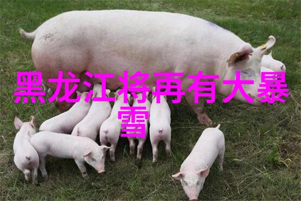 品味启航消费者追味商家选品牌圣加美图酒业集团董事长张轶独谈葡萄酒消费新篇章