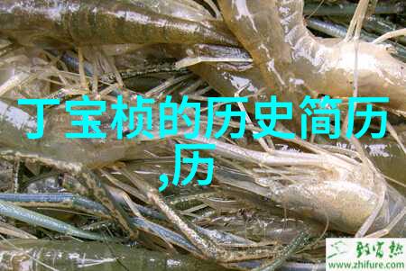 梦幻庄园赚钱版金钱与奇迹的反差