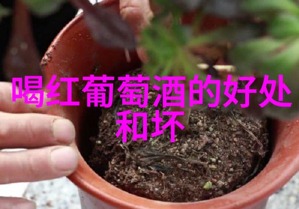重庆周边旅游城市探索四川美丽小镇
