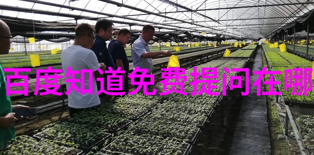 霍克斯湾酒庄与产区的故事一个人物的探索