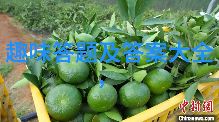 指数基金投资评估深入分析指数基金的长期投资价值