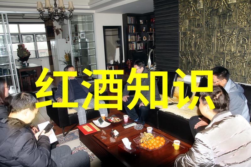 世界著名葡萄酒产地探秘阿尔萨斯的美丽风光与醇香故事